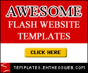 Flash Website Templates