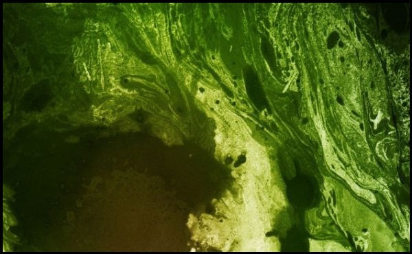 12 Psychedelic Stained Paper Textures