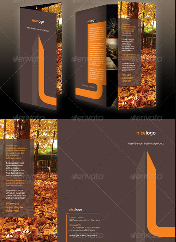 A4 Tri-Fold Brochure