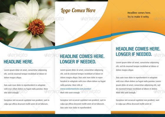 TriFold Brochure V2