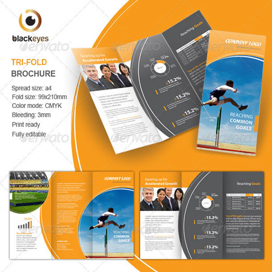 Corporate Tri-fold Brochure