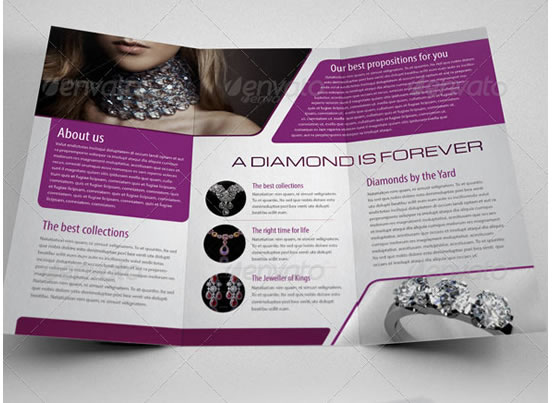 Multipurpose Trifold Brochure