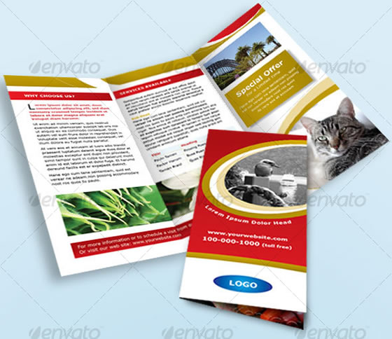 Tri-fold Red and Gold Brochure/Leaflet