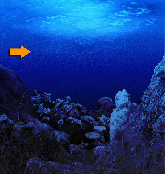 Learn How To Create Realistic UnderWater Effect In Photoshop