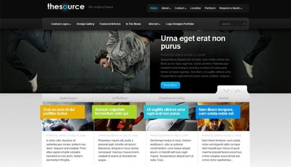 30 Premium Professional WordPress Themes