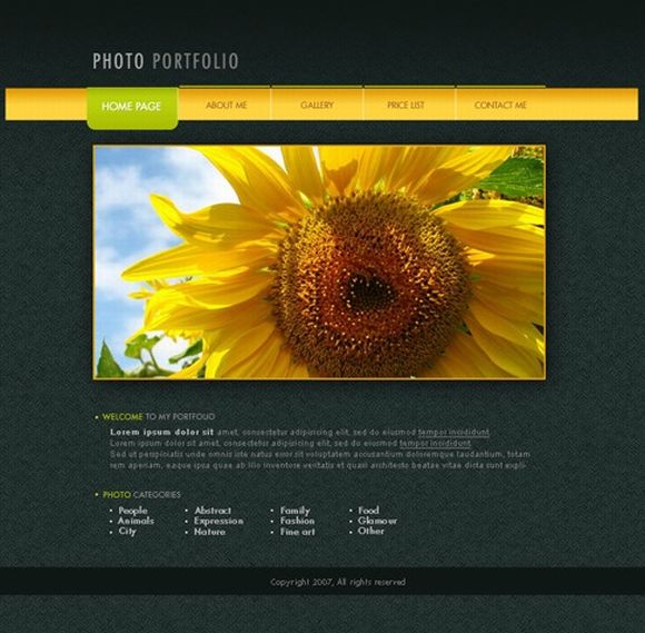 Designing a Photo Portfolio Web Page Layout