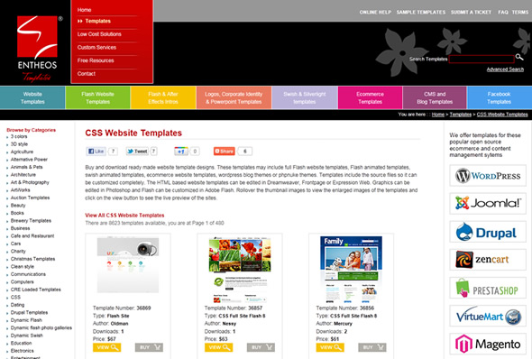 CSS Website