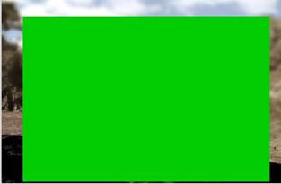 Creating an Advance masking effect with an image in Flash!
