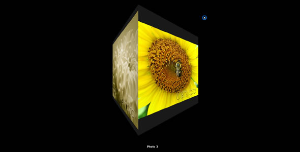 Cube 3D Gallery