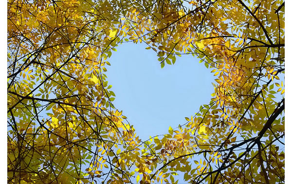 A photographic showcase of unexpected hearts…