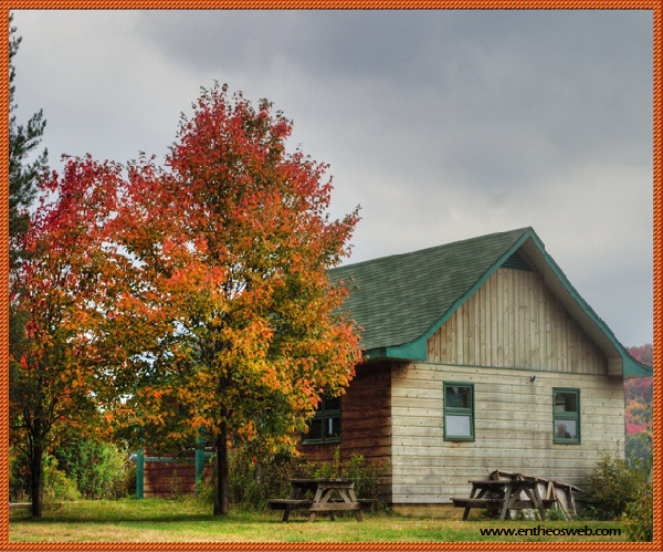 Learn How to Create Oil Painting from any Image in Photoshop