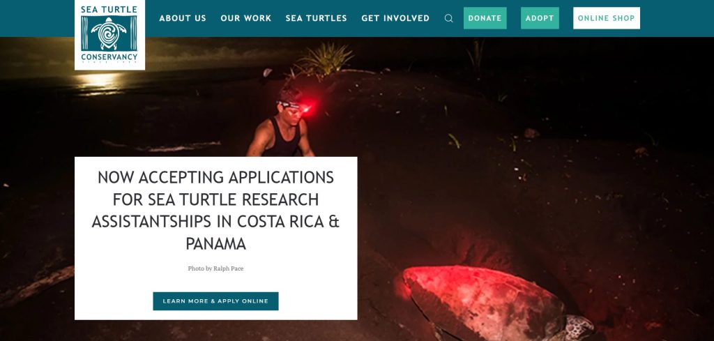 Image | go green website design inspiration | entheosweb Image