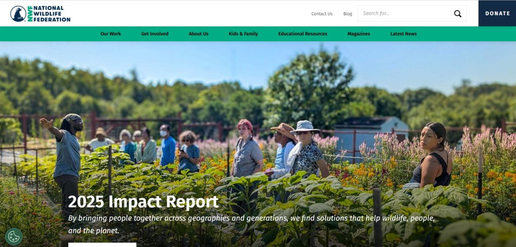 Image | go green website design inspiration | entheosweb go green website design inspiration image