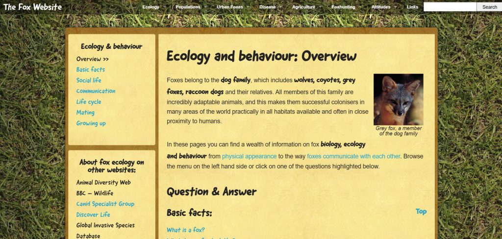 Image | go green website design inspiration | entheosweb Image