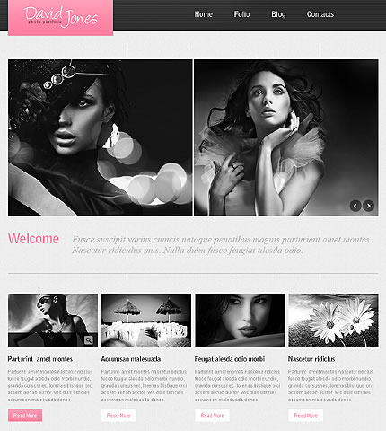 David Jones WordPress Theme