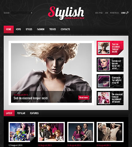 Stylish Fashion WordPress Theme