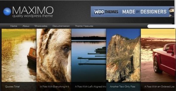 Maximo WordPress Theme