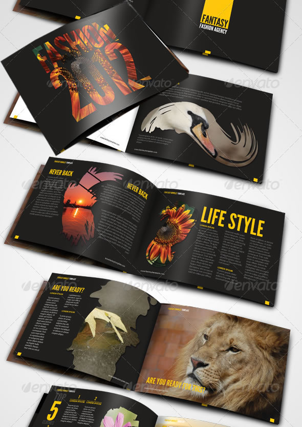Fantasy Booklet Template