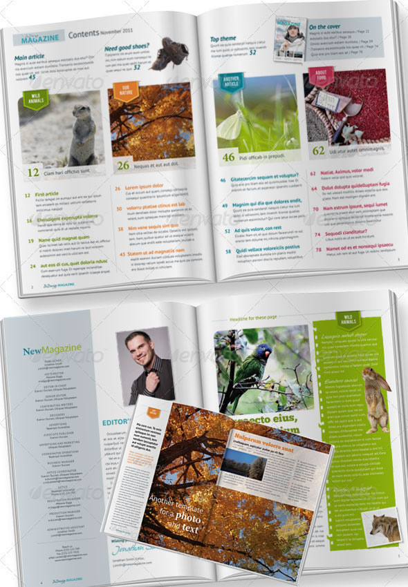 24 Pages InDesign Magazine