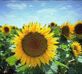 Canvas Texture Effect