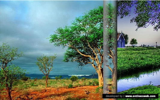 Gorgeous Page Roll Image Transition Effect in Flash