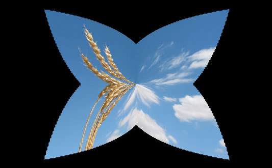 Drain transition effect animation