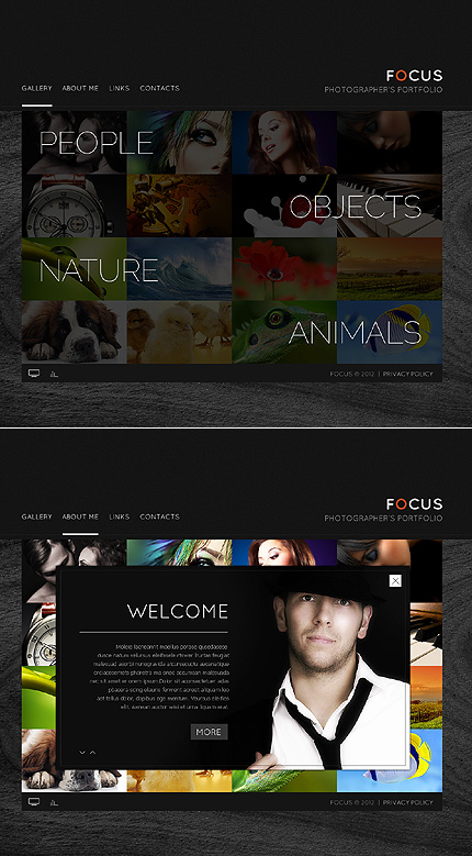 Focus Photo Flash Website Template