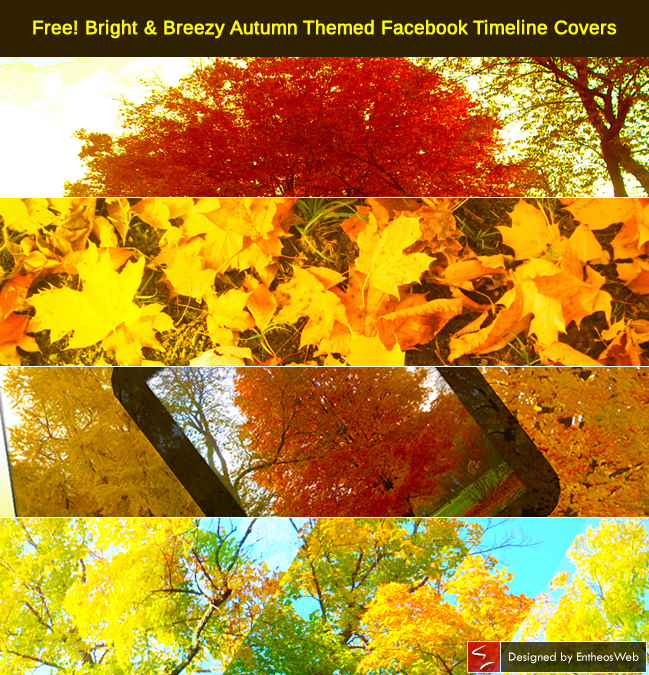Free Bright Breezy Autumn Themed Facebook Timeline Covers Free Bright breezy autumn themed facebook timeline covers