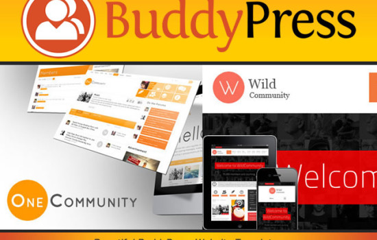 Beautiful buddypress website templates