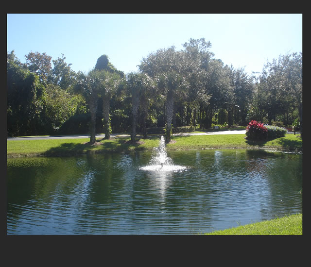 Photographic Toning Techniques