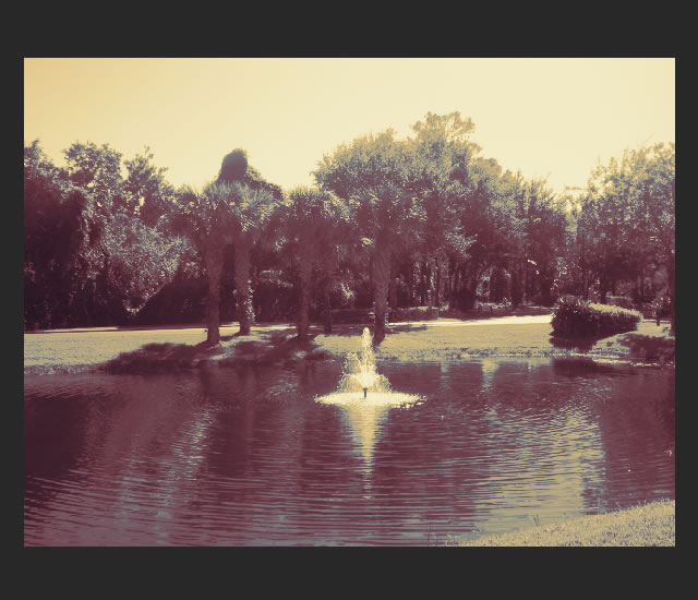 Photographic Toning Techniques