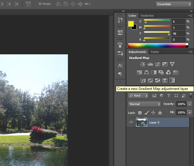 Photographic Toning Techniques