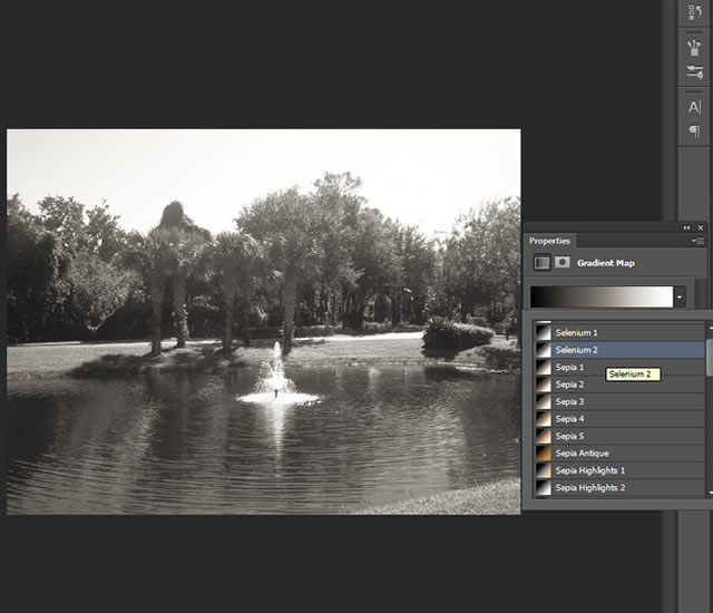 Photographic Toning Techniques