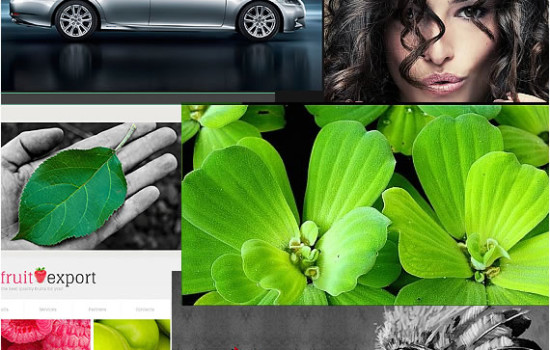 Best website templates of july 2013