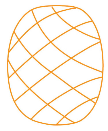 illustrator_typography