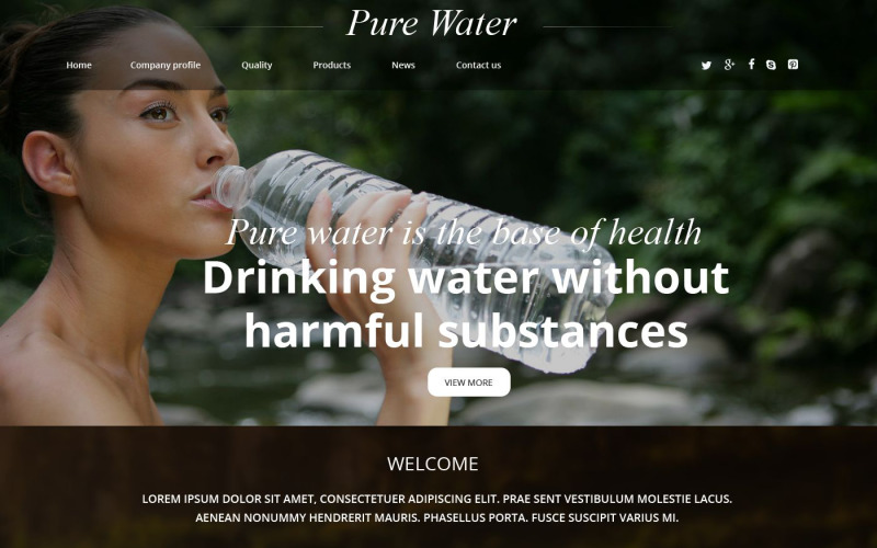 Pure water website template 54887 original
