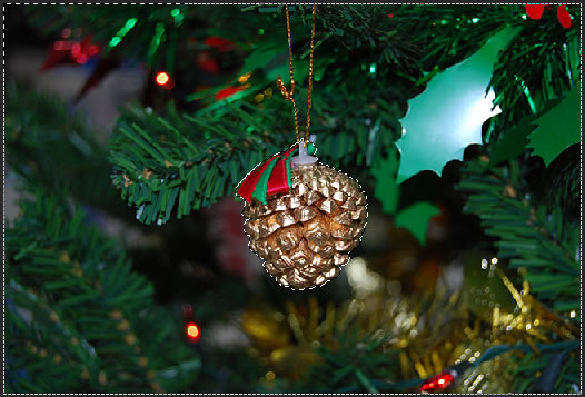 Selective Coloring Effect