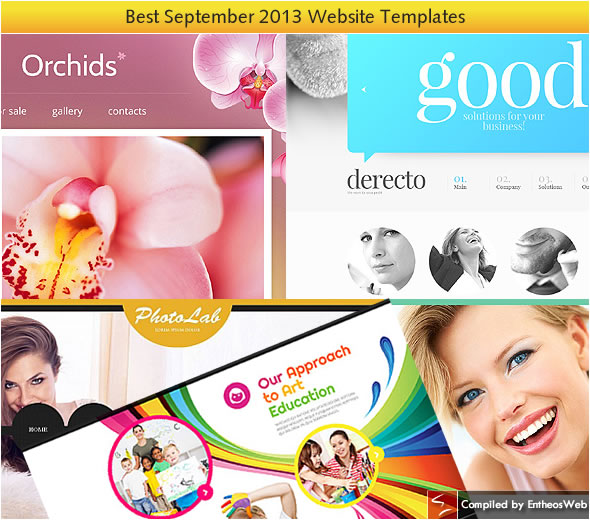 Best website templates from september 2013