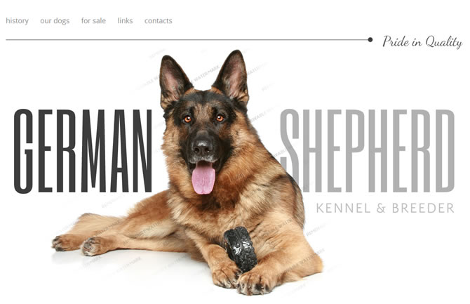 Template 47272 - Pride In Website Template