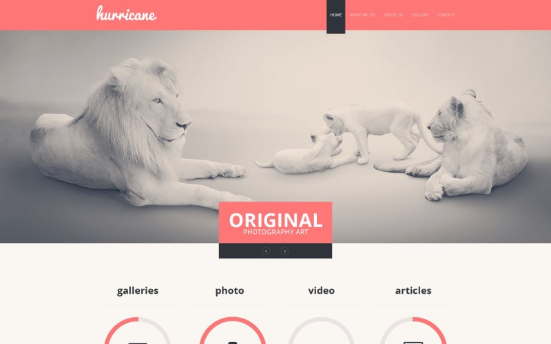 Photographer portfolio website template 47336 original