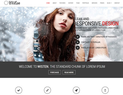 Wisten - One Page Parallax Theme
