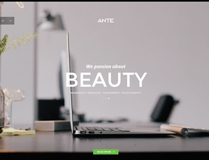 ANTE - One Page Parallax HTML5 Modern Template