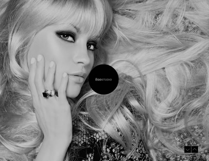 Ego Onepage Parallax Responsive WordPress Theme