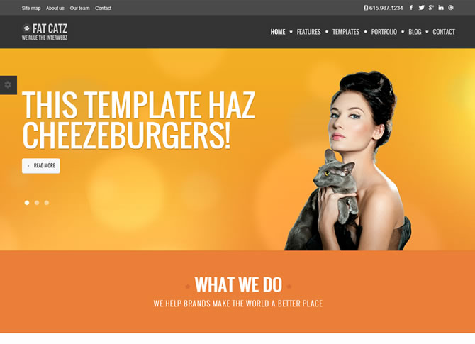 Fat Catz | Bootstrap3 Website Template