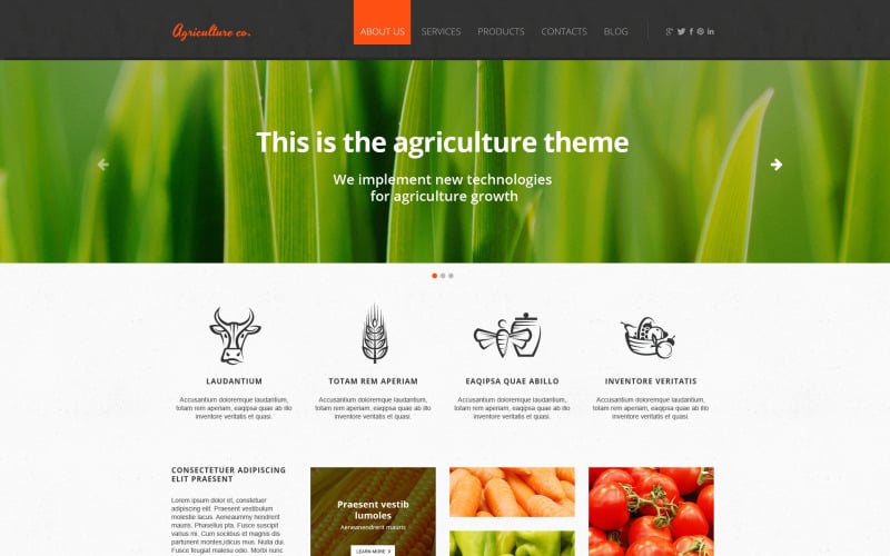 Fruit responsive website template 47427 original | best html5 bootstrap website templates | entheosweb Fruit responsive website template 47427 original