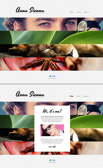 Template 48147   anna sienna website template
