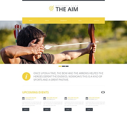 Template 48741   the aim responsive website template