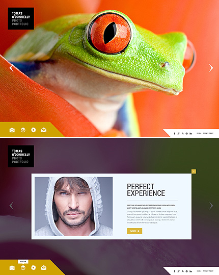 Template 48879   tomas o'donnelly Flat Website Template 