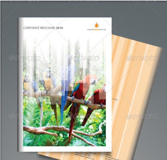 Corporate brochure birds graphic river Corporate brochure birds1