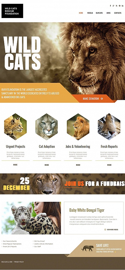 Template 48198   wildlife moto cms html template